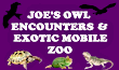 Link to the Joe's Owl Encounters & Exotic Mobile Zoo website